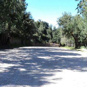 Hotel Sant'elene